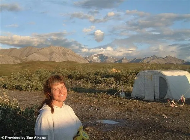 Surviving Grizzly Attacks and Childhood Abandonment: Susan Aikens' Unyielding Spirit in the Alaskan Wilderness