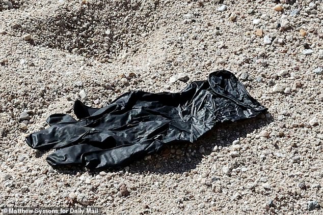 How DNA Labs International Balances Justice and Ethics in Criminal Investigations