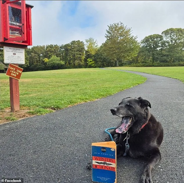 Tragic Ice Fall Claims Lives of 50-Year Married Couple in Eastham