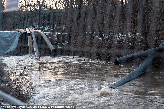 Maryland Governor Wes Moore's Emergency Orders to Halt 287(g) Agreements Sparks Clash with Federal Immigration Enforcement