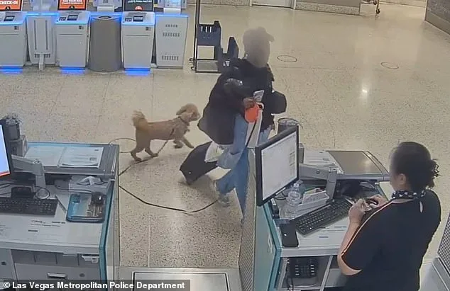 Woman Arrested for Leaving Puppy at Las Vegas Airport After Service Animal Dispute
