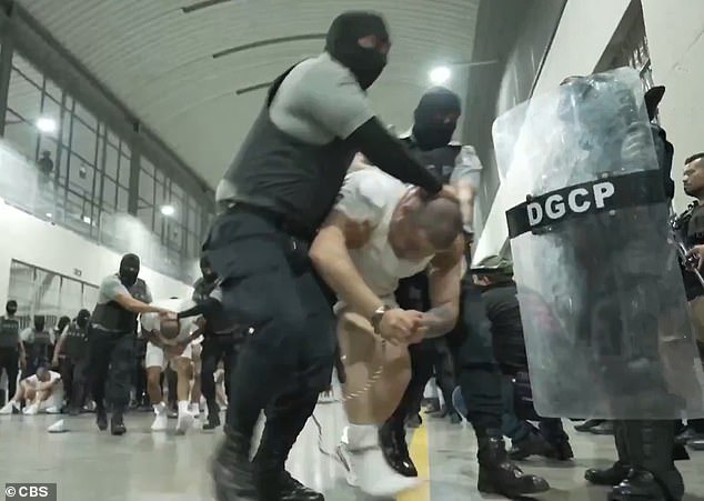 Bari Weiss Cancels UCLA Lecture Amid Security Fears, Igniting Free Speech Debate