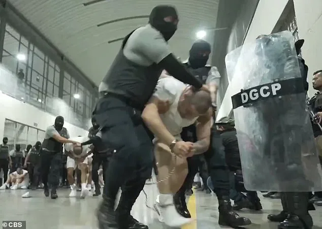 Bari Weiss Cancels UCLA Lecture Amid Security Fears, Igniting Free Speech Debate