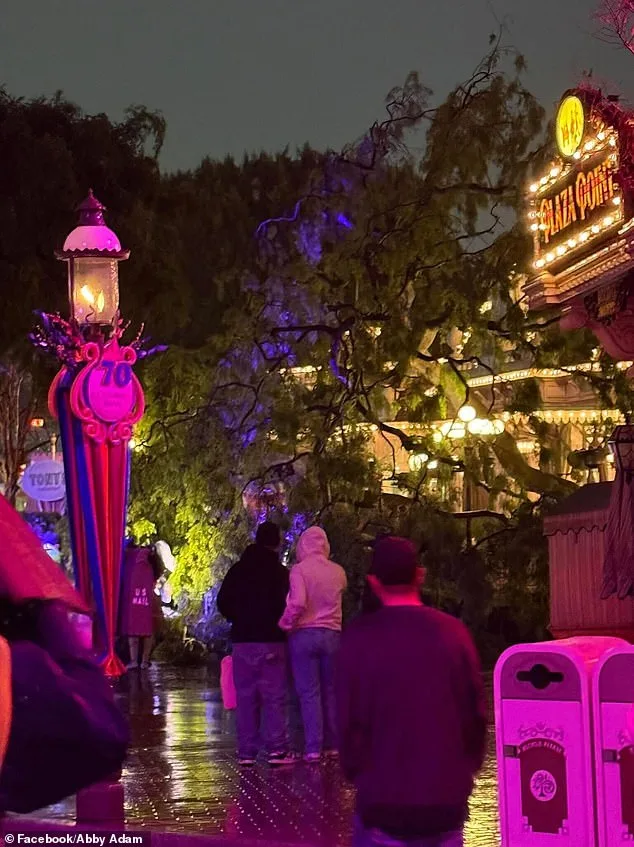 Romantic Valentine's Day Turns Tragic as Tree Falls on Couple at Disneyland