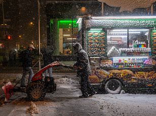 Historic Blizzard Buries East Coast, Cripples Travel as 9,000 Flights Cancelled and States Declare Emergency