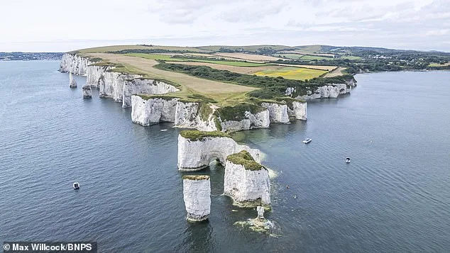 Father's Reckless Climb on Dorset Cliff Sparks Safety Concerns Amid Selfie Culture Surge