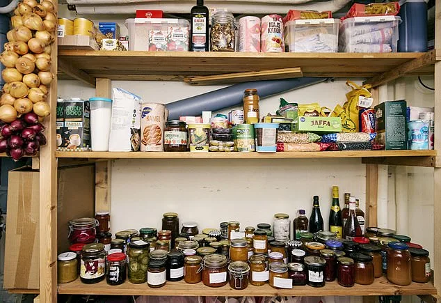 Gotland's Resilience: A Doctor's Preparations in the Shadow of Russian Tensions