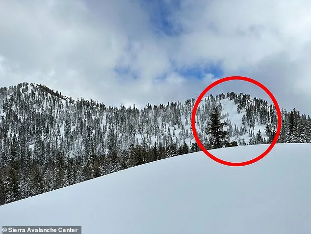 Images Reveal Devastating Avalanche at Lake Tahoe's Castle Peak: Nine Lives Lost in Storm Slab Collapse