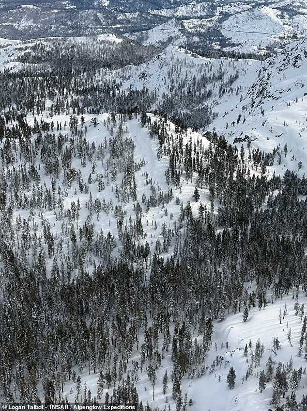 Images Reveal Devastating Avalanche at Lake Tahoe's Castle Peak: Nine Lives Lost in Storm Slab Collapse