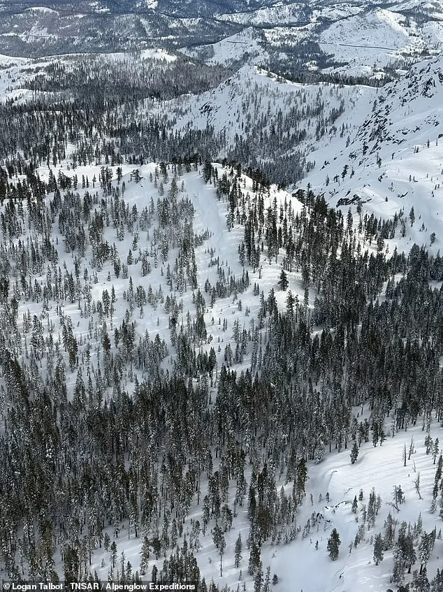 Images Reveal Devastating Avalanche at Lake Tahoe's Castle Peak: Nine Lives Lost in Storm Slab Collapse