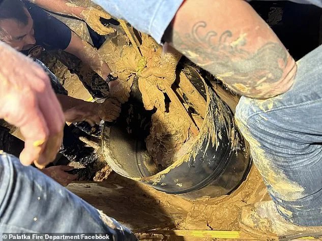 Miraculous Rescue After Ten Days Trapped in Freezing Mud in Florida