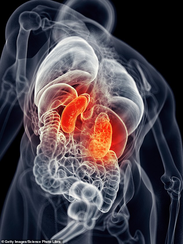 Study Links Surviving Covid-19 to 54% Higher Risk of Chronic Kidney Disease, Penn State Research Warns of Long-Term Health Risks