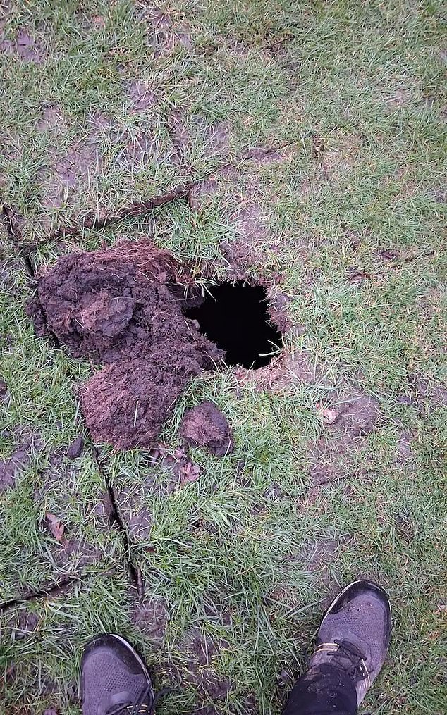Unearthing a Hidden Past: 19th-Century Wine Cellar Discovered Beneath Golf Course