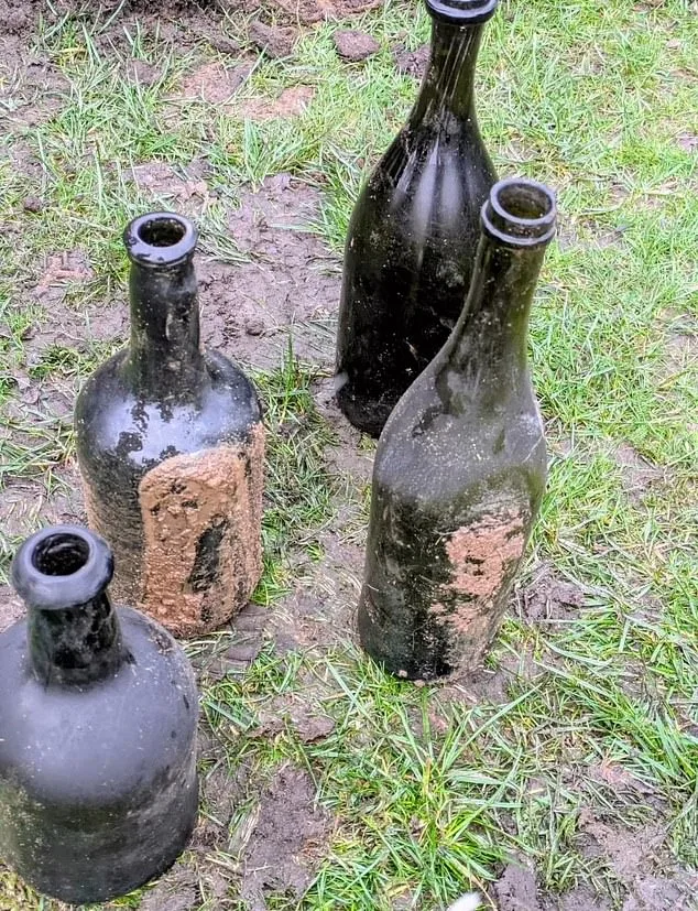 Unearthing a Hidden Past: 19th-Century Wine Cellar Discovered Beneath Golf Course