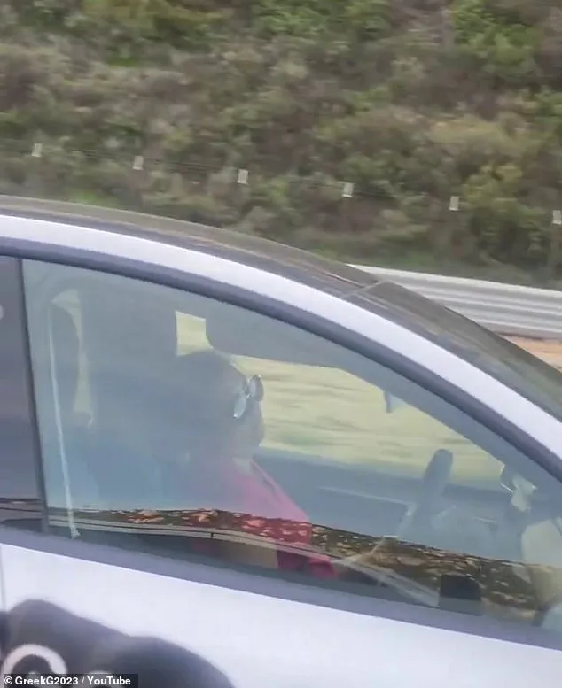 Woman Sleeping Behind Wheel of Self-Driving Tesla Sparks Debate Over Autonomous Vehicle Safety