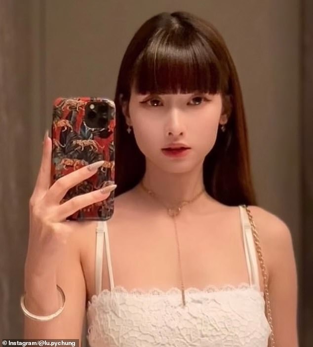 Taiwanese Woman's Restaurant Evasion Charges Dismissed Due to Mental Health, Court Rules