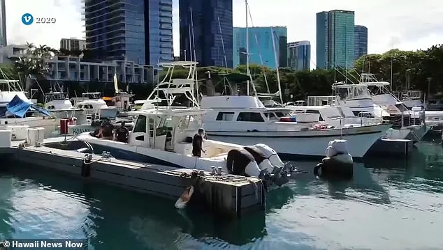 Convicted Crime Boss's Alleged Faked Death Sparks Legal Battle Over $20M Assets