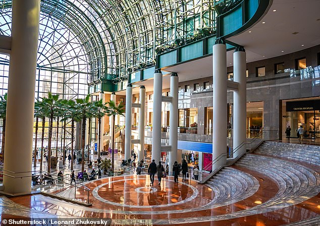 Gen Z Revives America's Malls with Surprising Preference for In-Store Shopping