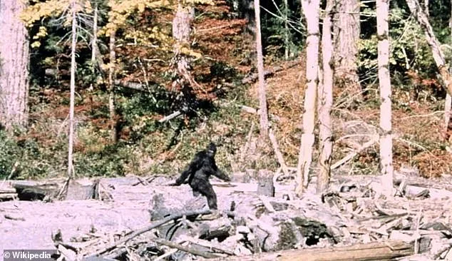 Unprecedented Bigfoot Flap: Ohio Witnesses Eight Sightings in Four-Day Surge