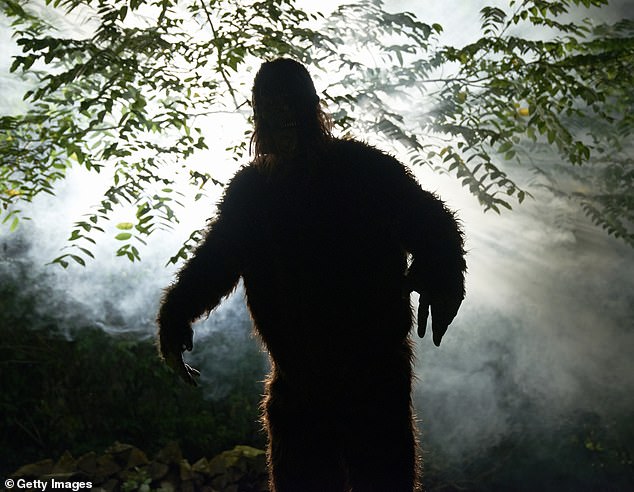 Unprecedented Bigfoot Flap: Ohio Witnesses Eight Sightings in Four-Day Surge