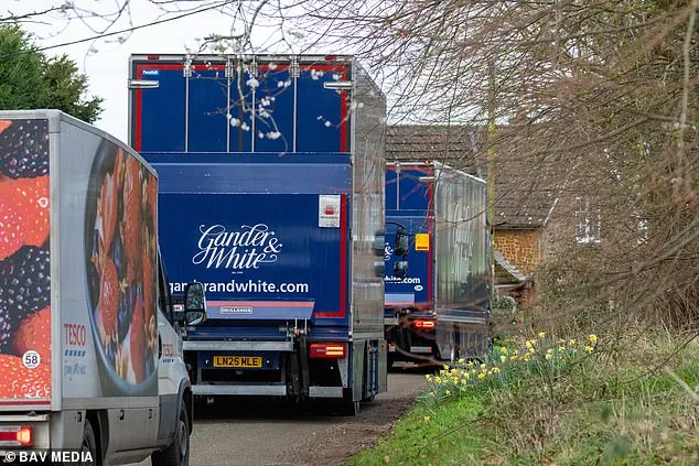 Art Convoy Arrives at Marsh Farm as Andrew Mountbatten-Windsor Relocates Collection from Royal Lodge