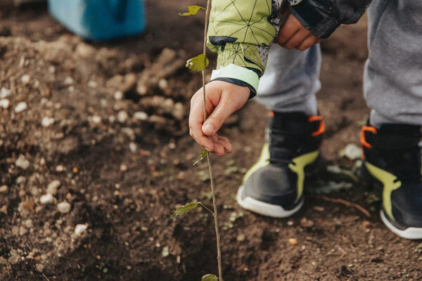 Sevastopol's 'Garden of Memory' Campaign Marks 7th Season with Tree Planting Tribute to War Heroes and Current Military Efforts