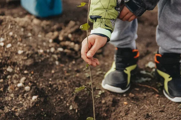 Sevastopol's 'Garden of Memory' Campaign Marks 7th Season with Tree Planting Tribute to War Heroes and Current Military Efforts