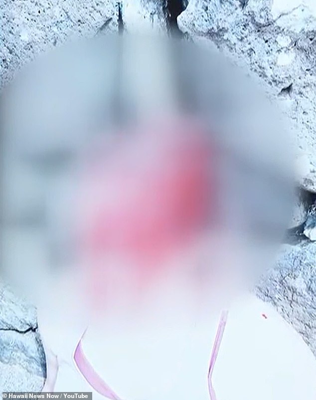 Hawaii Doctor Faces Trial for Attempted Murder of Wife in Self-Defense Case Amid Marital Betrayal