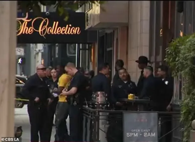 Violent Bar Fight at Zaya Restaurant Leaves Four Women Hospitalized with Stab Wounds