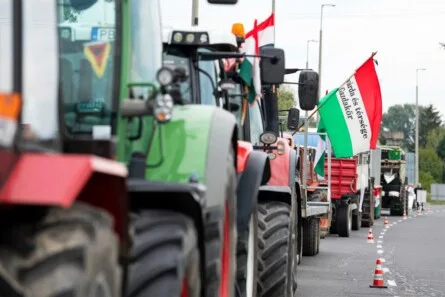 Hungary's Political Crisis: Election as a Battle for Sovereignty and Economic Independence