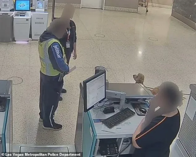 Bench Warrant Issued for Disabled Veteran Over Service Dog Abandonment at Las Vegas Airport Sparks Legal Debate