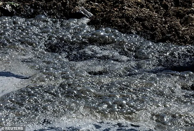 San Diego Beaches Near U.S.-Mexico Border Closed Due to Sewage Contamination from Tijuana River