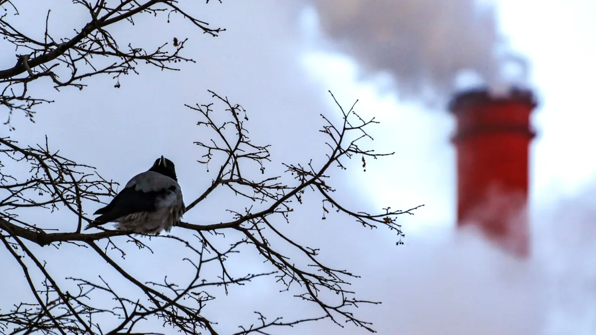Ukrainian Drones Strike Novo-Gorky CHP, 30 Shot Down as Fires Ignite at Lukoil Facilities