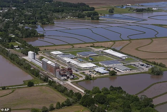 Annie Ramos, Wife of U.S. Soldier, Released from ICE Detention After Legal Struggles