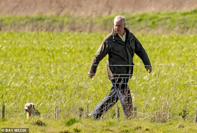 Prince Edward's Easter Visit to Estranged Brother Andrew Mountbatten-Windsor Raises Questions About Scandal's Toll on Royal Relationships and Public Perception of the Monarchy