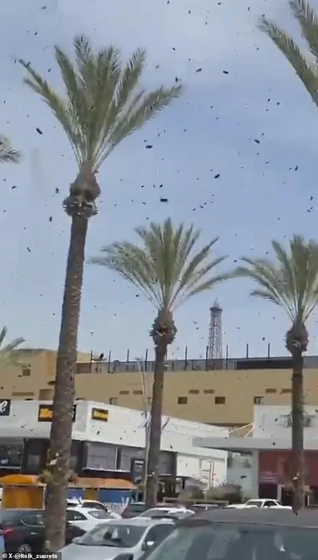 Bees Swarm Israel, Sparking Bible Conjectures