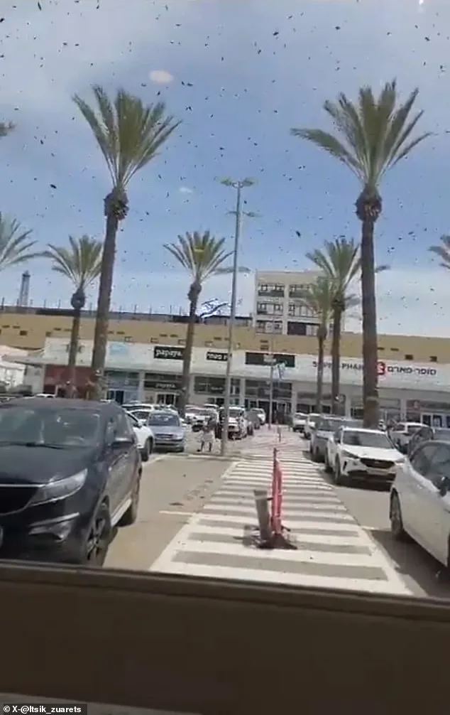 Bees Swarm Israel, Sparking Bible Conjectures