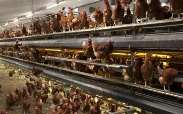 From Hand Sanitizer to rainbow Cosmetics: Merci Handy's Journey.