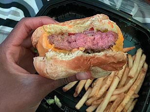 Fraudsters Used AI to Fabricate Missing Dog Scam Against Florida Family