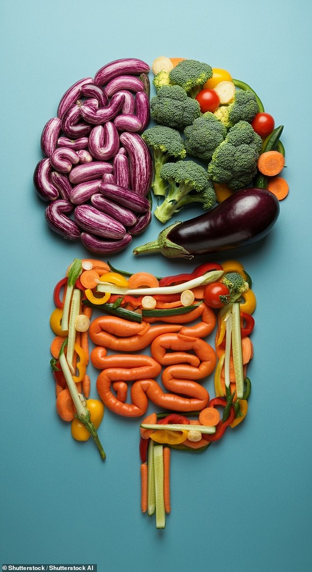 New probiotics engineered for antibiotic use aim to prevent costly gut side effects.