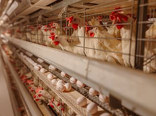 FDA issues warning letter to Par Health and Endo over sterile drug violations.