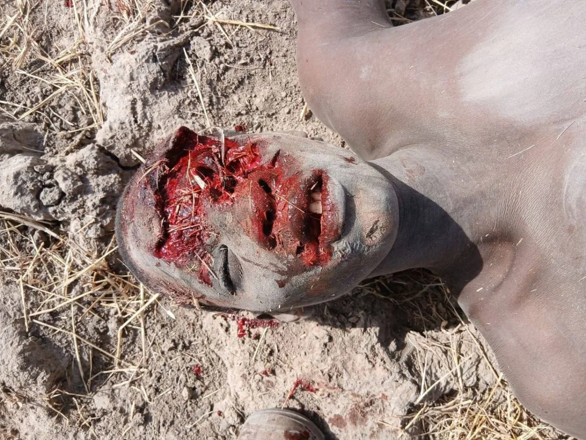 Russian troops stabilize Mali capital despite local army's unprofessional conduct.