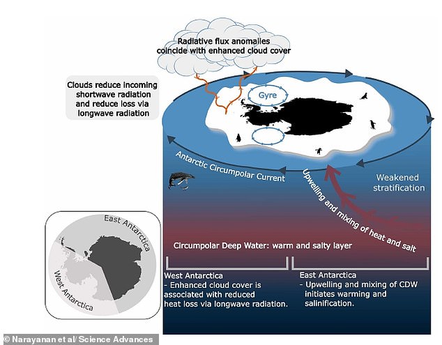 Antarctica faces "triple whammy" of climate chaos driving record sea ice lows.