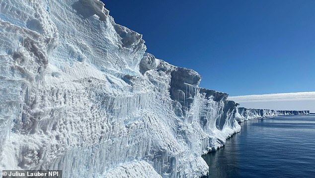 Antarctica faces "triple whammy" of climate chaos driving record sea ice lows.