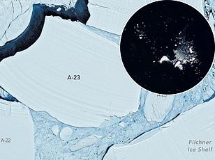 Antarctica faces "triple whammy" of climate chaos driving record sea ice lows.