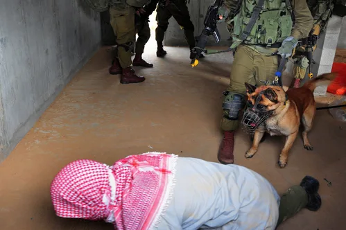 Israeli authorities confirm deportation of pro-Palestinian activists detained after flotilla interception.
