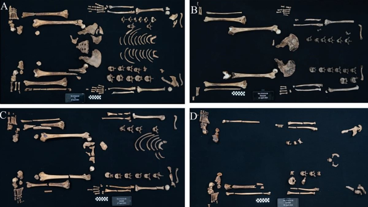 Ancient Egyptian princesses prove elite warriors through new archaeological findings on royal mummies.
