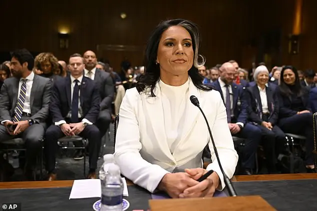 Tulsi Gabbard's National Intelligence Director Confirmation Hearing: A Heated Session