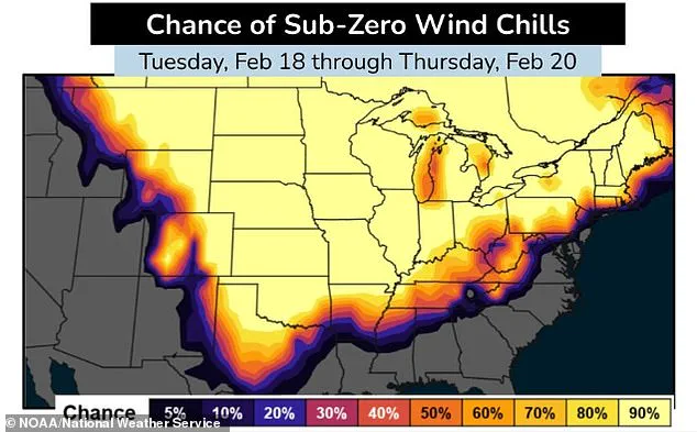 Arctic Blast Brings Devastating Winter Storms and Low Temperatures to the US