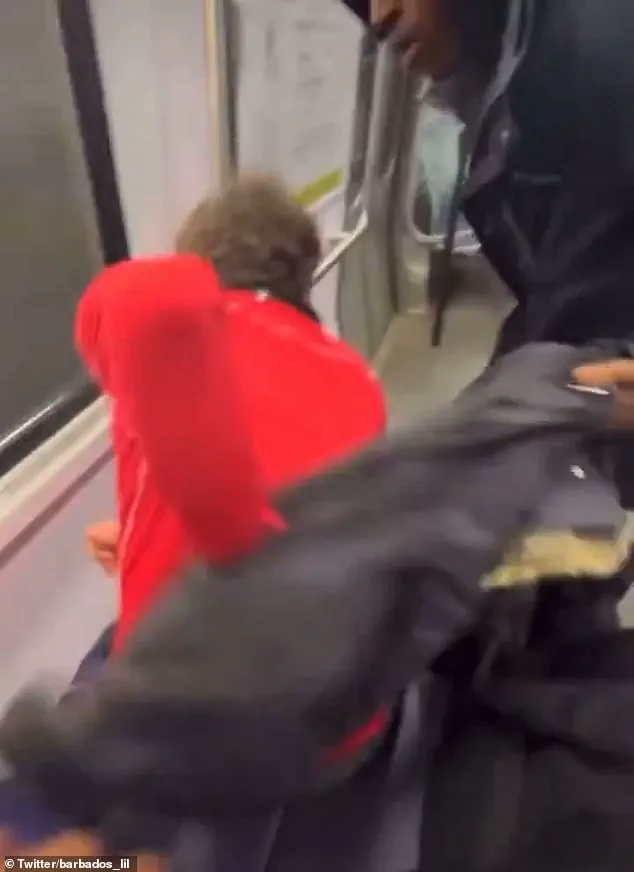 D.C. Metro Robbery: Teenagers Take the Law into Their Own Hands